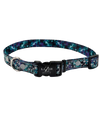 Collar Galaxy S/M Lazer Brite